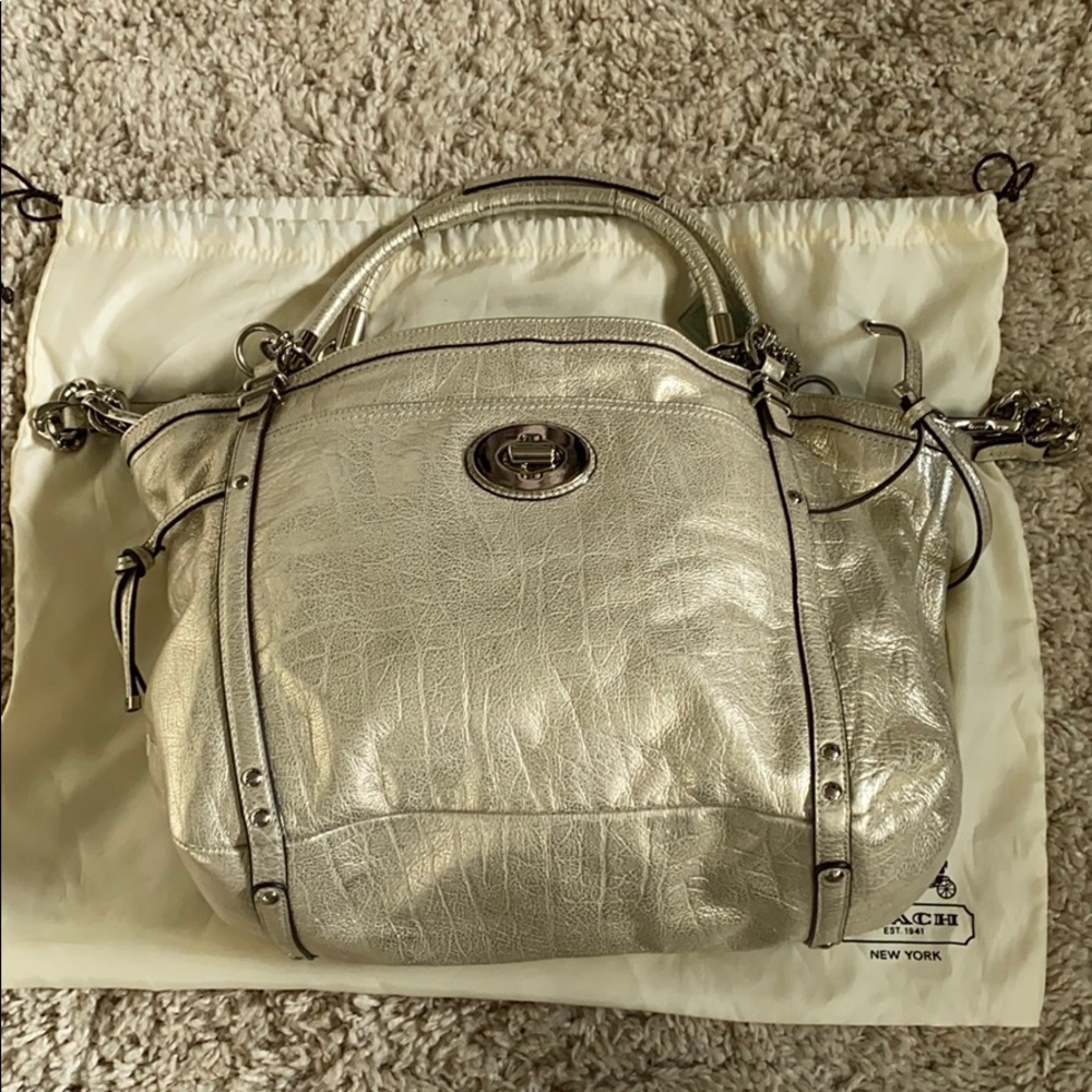 COACH Platinum Metallic Leather Purse, XL